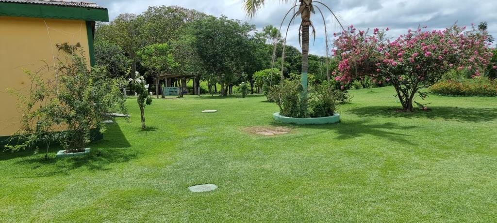 Centro Terapêutico - Cuiabá - MT - foto 11